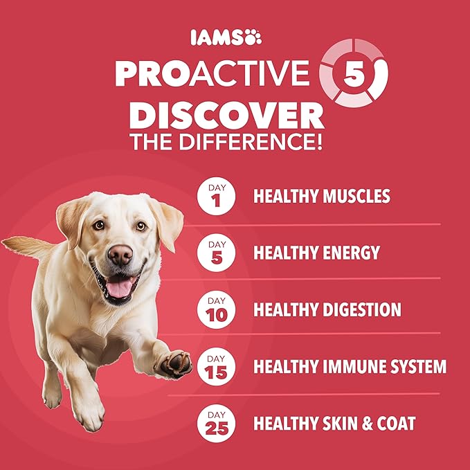 IAMS Proactive Health Large Breed Dry Dog Food, Adult Dry Dog Food for Large Breeds, Lamb & Rice Recipe, 40 lb. Bag
