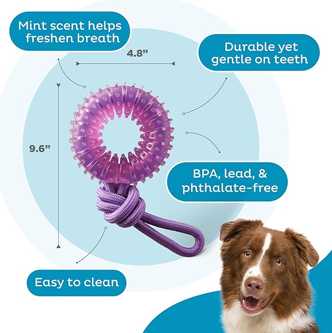 2-in-1 Dental Dog Chew Wheel Ring & Rope Tug Toy for Teething Puppies & Dogs, Mint-Scented & Teeth-Cleaning, 9-Inch, Purple