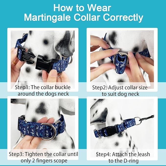 Martingale Collar for Dogs with Buckle Heavy Duty Boy Dog Collar for Medium Dogs, Deep Blue Shark