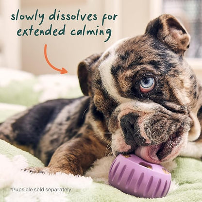 WOOF Pupsicle Refill Pops for Calming - Long-Lasting Refills for The Pupsicle Toy to Promote Calm - Calming Dog Treats - Magnesium for Dogs- XL Pops - 5 Count - 2 Pack