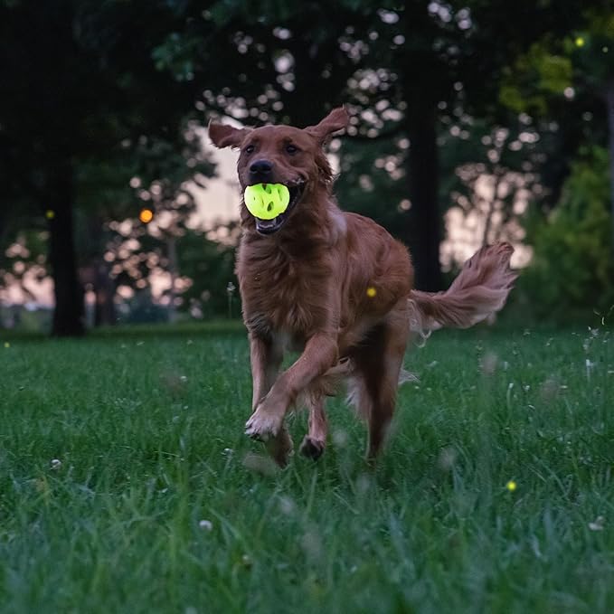 Chew King by Mammoth Glow-in-the-Dark Dog Fetch Balls (2-Pack), Lattice Rubber Fetch Toys for Night Play, High Bounce, Rechargeable Under Any Light, Medium 3.25"