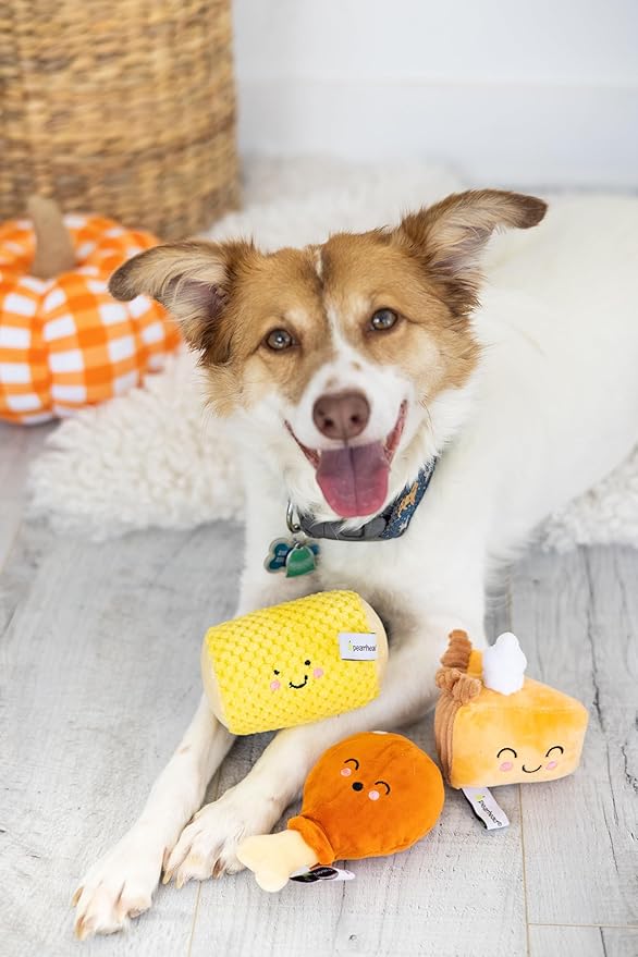 Pearhead Pet Thanksgiving Dinner Dog Toys - Slice of Pumpkin Pie, Turkey Leg, and Corn Cob Plush with Squeakers, Set of 3