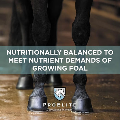 ProElite Foals First Milk Replacer Powder 22lb