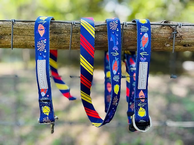 Lucky Love Dog - Adjustable Dog Collar with Easy Click Buckle for Small Dogs, Durable, & Comfortable for Male & Female Dogs, Pet Collar for Puppies & Adult Dogs - Mackey, Small