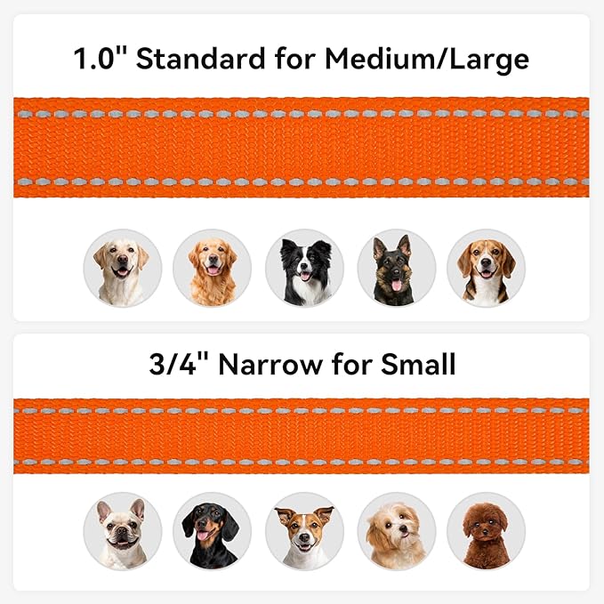 Joytale Dog Leash, 6 FT Double-Sided Reflective, Padded Handle Nylon Heavy Duty Leashes for Medium & Large Dogs Walking, Orange