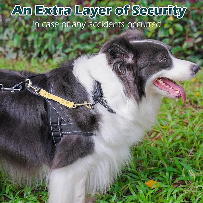 PetBonus Dog Collar Safety Clip, Waterproof Backup Safety Strap for Dog Harness to Prong Collar, Odor Proof Double Ended Clasp Leash Connector for Training Walking (Sand)
