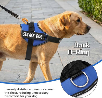 MUMUPET Service Dog Vest, No Pull Reflective Adjustable Harness with Handle, Soft Breathable Padding for Medium Dogs, 2 Removable Velcro Patches (Blue, M)