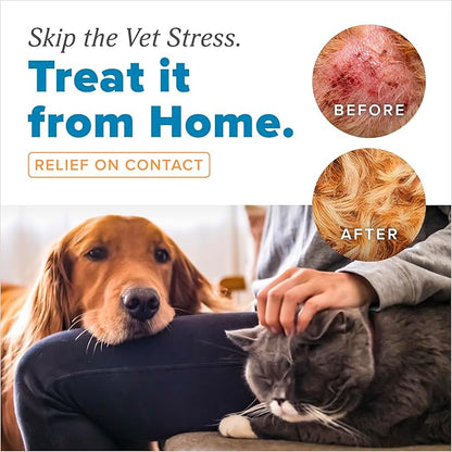 TropiClean HomeVet Allergy & Itch Spray, Dog Allergy Relief & Hot Spot Treatment for Dogs & Cats, Vet Recommended Itching Skin Relief, USA Made, 8 oz
