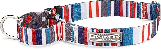 Lucky Love Dog - Adjustable Dog Collar with Easy Click Buckle for Medium, Durable, & Comfortable for Male & Female Dogs, Pet Collar for Puppies & Adult Dogs - Linus Martingale, Medium