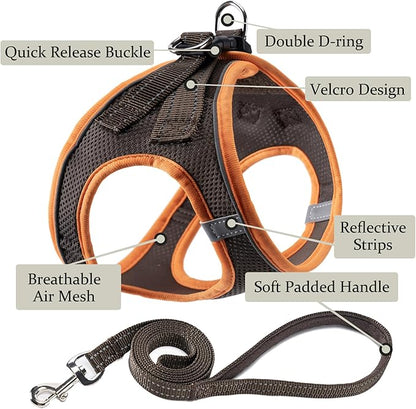 Dog Harness with Leash Set, No Pull Adjustable Reflective Step-in Puppy Pet Vest Harnesses for Small Medium Large Dogs and Cats,Brown XXS