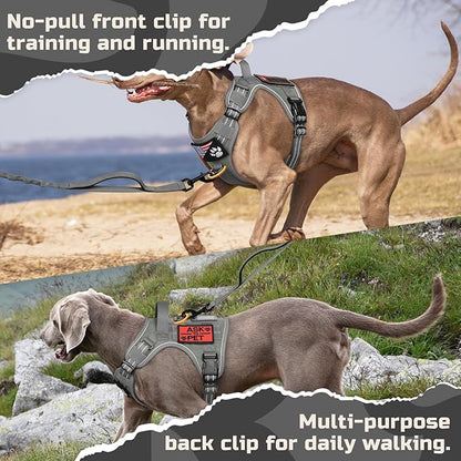 rabbitgoo Tactical Dog Harness Medium Sized Dog, No Pull Military Service Vest with Handle & Molle, Easy Control for Training Walking, Adjustable Reflective Straps, Dark Grey, M