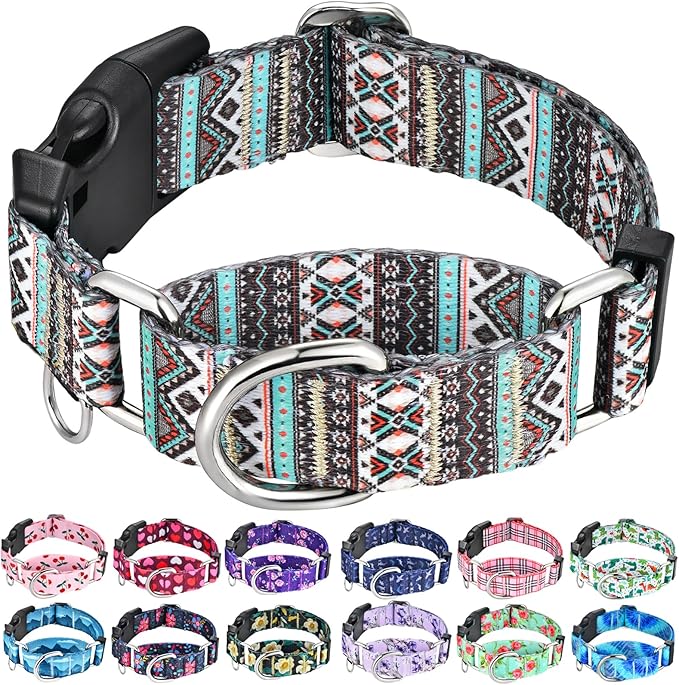 Martingale Dog Collar with Buckle Tribal Design Adjustable Escape Proof Pet Collars (Aztec, Large)