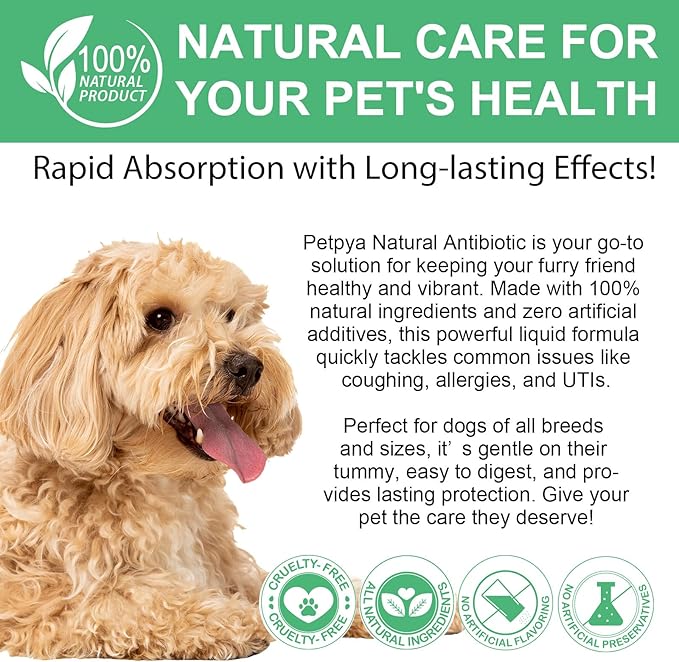 Antibiotics for Dogs, Natural Antibiotics for Dogs, Dog Multivitamin for Pets, Dog Antibiotics Helps Support a Healthy Immune System, 2 Fl Oz ﻿ ﻿ ﻿ ﻿