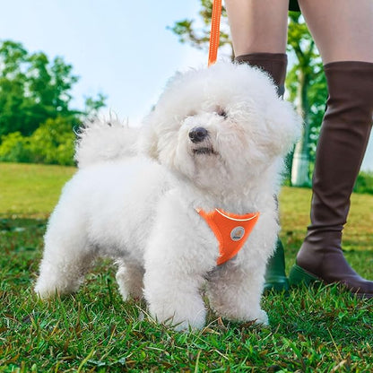 Hipubby Dog Harness and Leash Set, No Pull Soft Mesh Puppy Harness for Small Medium Dogs, Cats - Step in Reflective Breathable Lightweight Vest Harness for Walking, Training - Orange, L