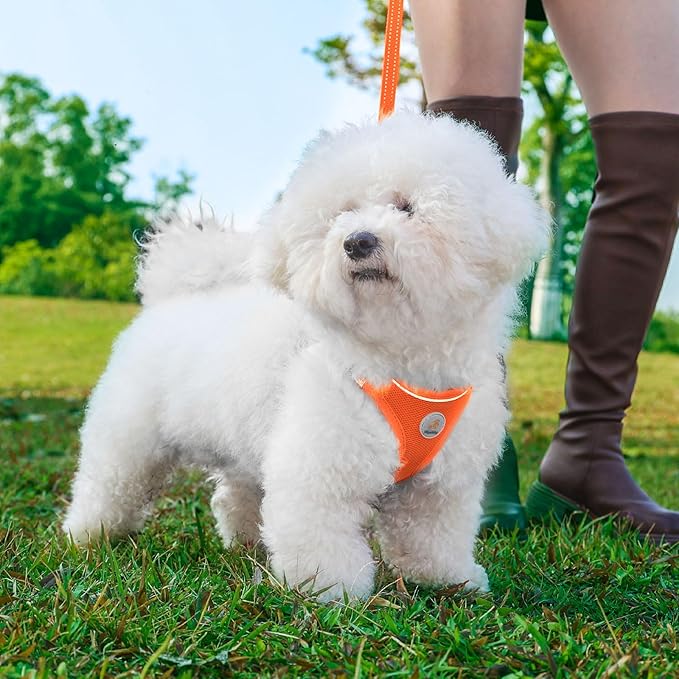 Hipubby Dog Harness and Leash Set, No Pull Soft Mesh Puppy Harness for Small Medium Dogs, Cats - Step in Reflective Breathable Lightweight Vest Harness for Walking, Training - Orange, XXS