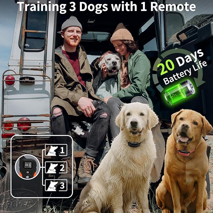 PaiPaitek Dog Vibration Collar with Controller for 2 Dogs No Shock, 9 Types of Beeps and Vibrations, 3300ft Range & Upgraded Waterproof Training Collar for Dogs 5-120lbs - No Prongs