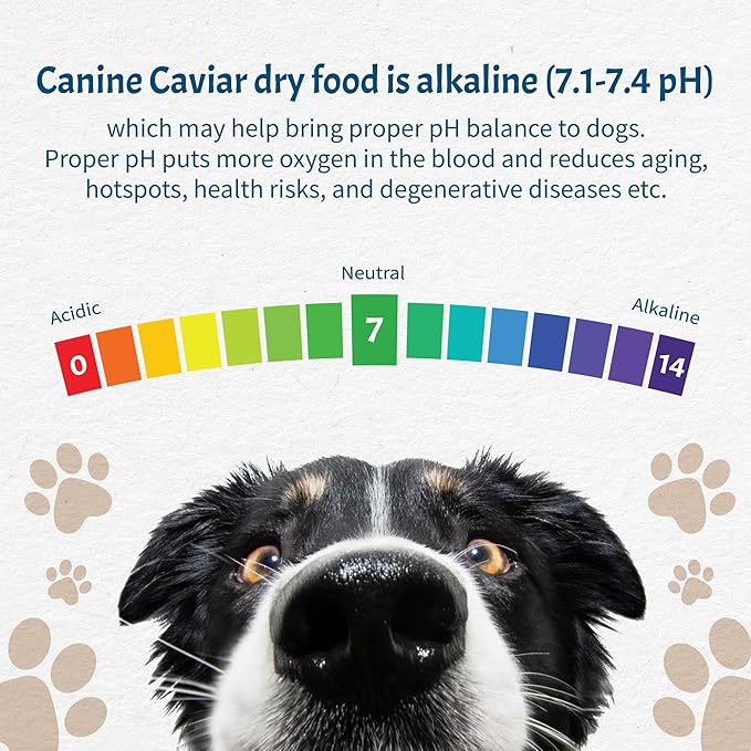 Canine Caviar - Free Spirit: Chicken & Pearl Millet Alkaline Dry Dog Food, Limited Ingredients, Gluten-Free, Based on Science & Research, Veterinary Alternative Diet (4.4 Pound Bag) (Pack of 2)
