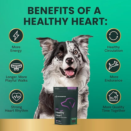 VetriScience Extra Strength Healthy Heart Chews, Vetri Cardio Supplement for Dogs, Cardio Support Supplement with Taurine, Carnitine, CoQ10, and Hawthorn, Chicken, 60 Count