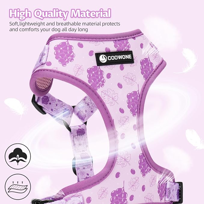 Dog Harness and Leash Set, Adjustable Dog Harness, Dog Leash, No Pull No Choke Puppy Harnesses for Walking Training for Small Medium Pet (Wines, M(Chest 15.7-22.1", Neck 12-15"))