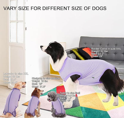Dog Recovery Suit Purple Female Spay Surgical Small Shirt, Male Surgery Recovery Suit,Purple-White Striped S
