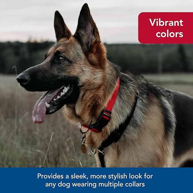 Coastal Pet SecureAway Collar Protector for Flea Collars - Adjustable pet Accessory - Protective Flea Collar for Dogs & Puppy - Multi Bones, 5/8" x 10-14"
