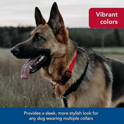 Coastal Pet SecureAway Collar Protector for Flea Collars - Adjustable pet Accessory - Protective Flea Collar for Dogs & Puppy - Red, 1" x 14-20"