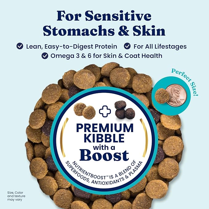 Solid Gold Salmon Dog Food for Sensitive Stomachs – Grain Free & Gluten Free Kibble w/Probiotics to Support Gut Health & Digestion - Sensitive Stomach Dog Food for All Ages – Nutrientboost™ – 22 LB