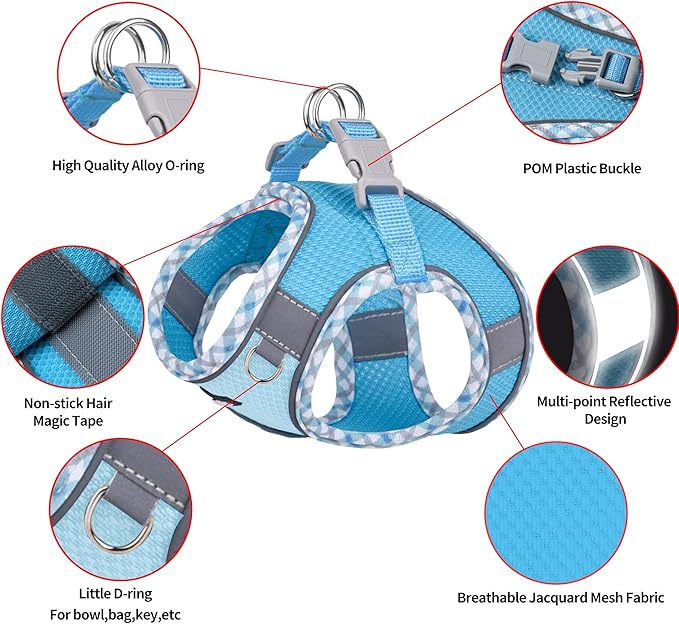 AIITLE Dog Harness and Leash Set - Ultra-Comfortable XXS-XL Vest with Strong Magic Tape & Glow-in-Dark Reflective Strips, Chafe-Free for Teddy, Schnauzer (Blue, M)