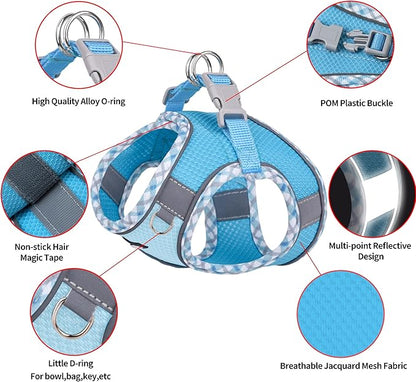 AIITLE Dog Harness and Leash Set - Ultra-Comfortable XXS-XL Vest with Strong Magic Tape & Glow-in-Dark Reflective Strips, Chafe-Free for Teddy, Schnauzer (Blue, M)