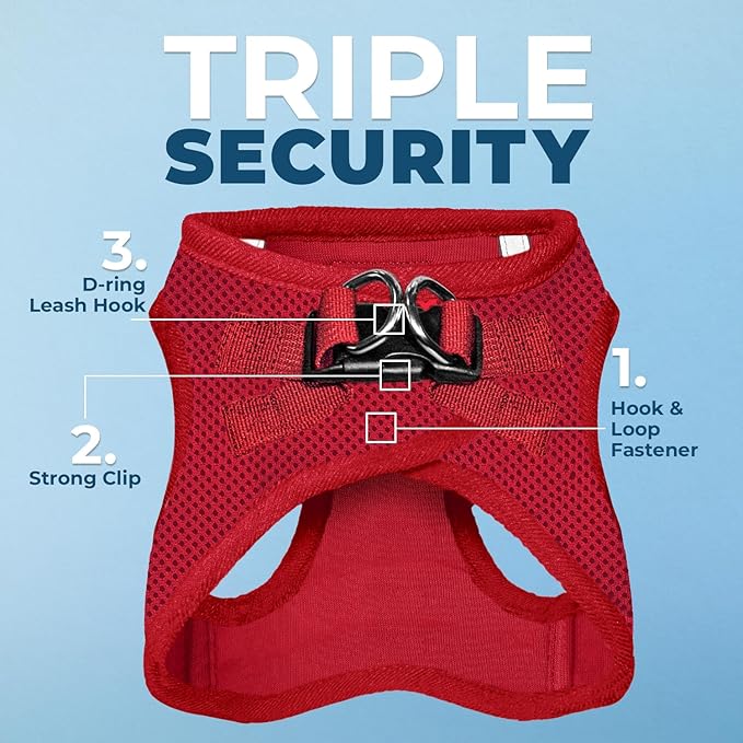 Best Pet Supplies Voyager Step-in Air All Weather Mesh Harness and Reflective Dog 5ft Leash Combo with Neoprene Handle, for Small, Medium and Large Breed Puppies - Set (Red), X-Small