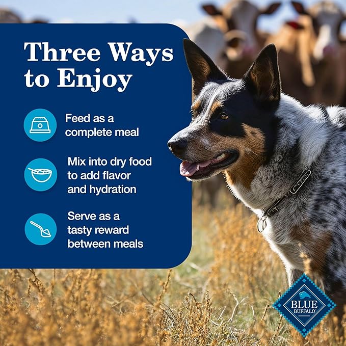 Blue Buffalo Homestyle Recipe Chicken and Lamb Wet Dog Food for Adult Dogs, 12.5 oz. Cans, 6 Count Variety Pack