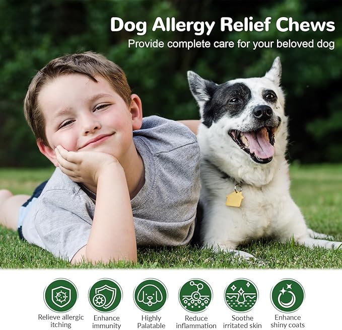 Dog Allergy Chews 150ct, Dog Itch Relief Chews for Large Dogs Paw Licking Itchy Skin Seasonal Allergies, Probiotics with Omega-3 Turmeric Astragalus for Coat Immune Supplement