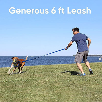 Pawtitas Blue Dog Leash 6 ft XS/S Reflective Durable Lightweight Recycled Lead for Small Dogs and Puppies
