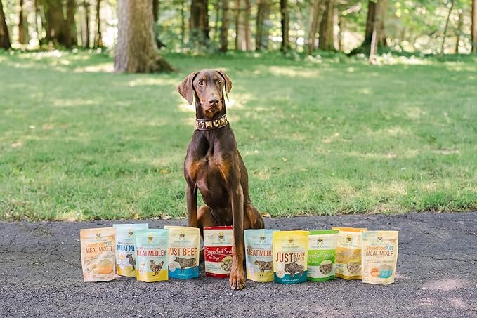 Freeze Dried Dog Treats – Bison Liver, Single Ingredient, All-Natural, USA Sourced, Human-Grade, Grain-Free High-Protein Training Treats, 2.5 oz