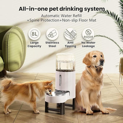 CZPET Elevated Dog Water Bowl Dispenser for Large Dogs,8L Tall Raised Pet Waterer Stand,Relieve Neck Pressure,Large Capacity and Drinking Area Noise-Free for Pets (8L+Stand,White)