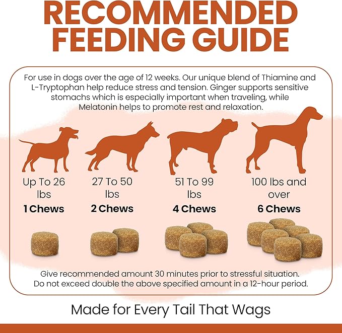 Dog Calming Treats - 2PK - 120 Soft Calming Chews for Dogs - Stress Relief Thiamine & L-Tryptophan for Travel & Storms - Anxiety Supplement with Ginger and Melatonin - Made in The USA