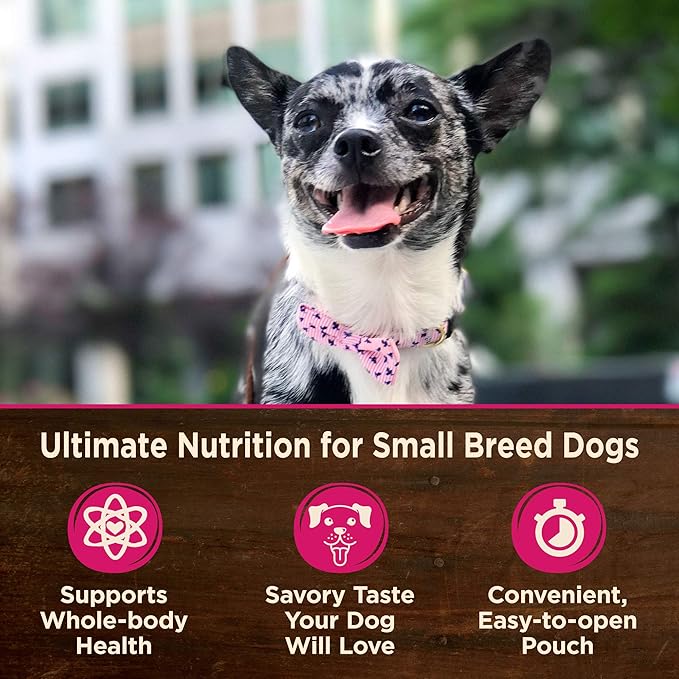 Wellness CORE Small Breed Mini Meals Shredded Variety Pack Adult Wet Dog Food, Grain Free, Natural, 3 oz, Pack of 12