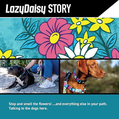 Wolfgang Heavy Duty Martingale Dog Collar with Quick Release Nylon Buckle for Walking & Training, LazyDaisy Print, Large