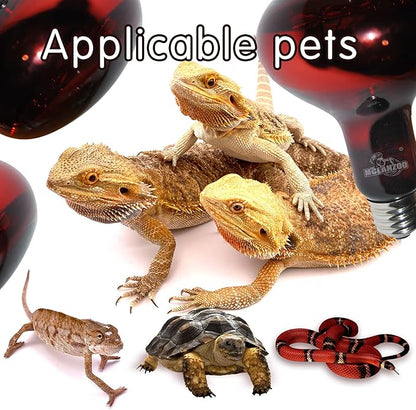 Infrared Heat Lamp Bulbs 100W 2 Pack,Red Basking Spot Light Bulb Reptile Heating lamp for Bearded Dragon,Turtle,Snake,Leopard Gecko,Chicked with Digital Temperature Thermometer