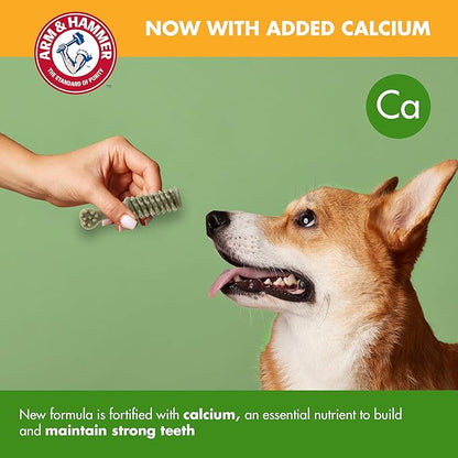 Arm & Hammer for Pets Nubbies Dental Treats Value Size - Baking Soda & Calcium Dog Dental Chews, Helps Scrub Plaque & Tartar While Chewing, Mint Flavor, 62 Count, 52.8 Oz