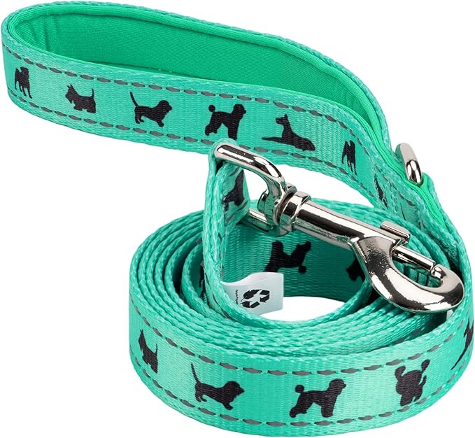 EcoBark Dog Leash - Soft & Reflective Comfort Leashes with Padded Handle - Strong & Durable for Small, Medium or Large Dogs (Turquoise)
