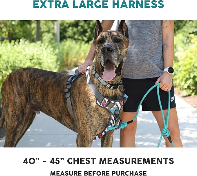 Embark Adventure No-Pull XL Dog Harness for Extra Large Dogs – Reflective Trim, Military-Grade Nylon, Dual Leash Clips, Gel-Lined Handle