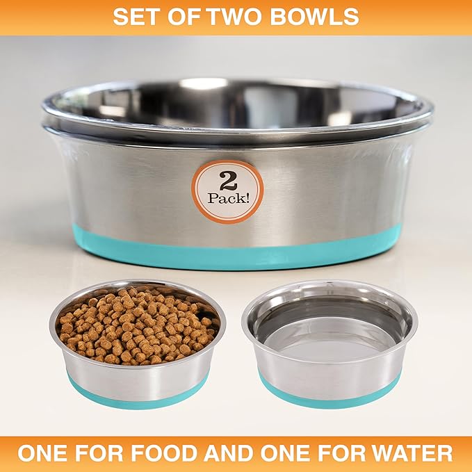 Neater Pet Brands Stainless Steel Dog Bowls with Non-Slip Rubber Bottom – Set of 2, 8 Cup (64 oz), Teal - Heavy Duty Metal Dog Bowl, Dishwasher Safe, Food or Water Bowl, Ideal for Large Dogs