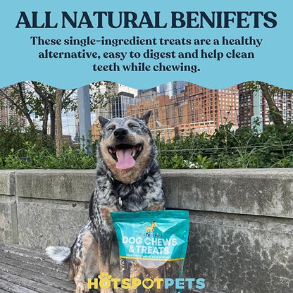 hotspot pets Freeze Dried Salmon Skin Chips for Cats & Dogs - Reasealable 1lb Big Bag Single Ingredient All Natural Omega 3 Benefits, Salmon Chips - Perfect for Training, Topper or Snack