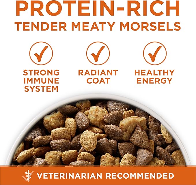 Purina ONE Plus Healthy Weight High-Protein Dog Food Dry Formula - 16.5 lb. Bag
