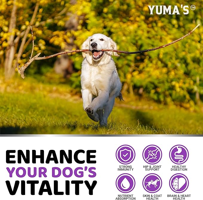 Dog Vitamins and Supplements - 170 Treats - Dog Multivitamin Chewable with Glucosamine - Senior & Puppy Multivitamin for Dogs - Hip & Joint Support - Immune Health, Skin, Heart, Digestion, Probiotics
