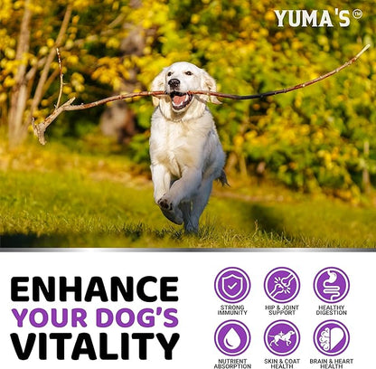 Dog Vitamins and Supplements - 170 Treats - Dog Multivitamin Chewable with Glucosamine - Senior & Puppy Multivitamin for Dogs - Hip & Joint Support - Immune Health, Skin, Heart, Digestion, Probiotics