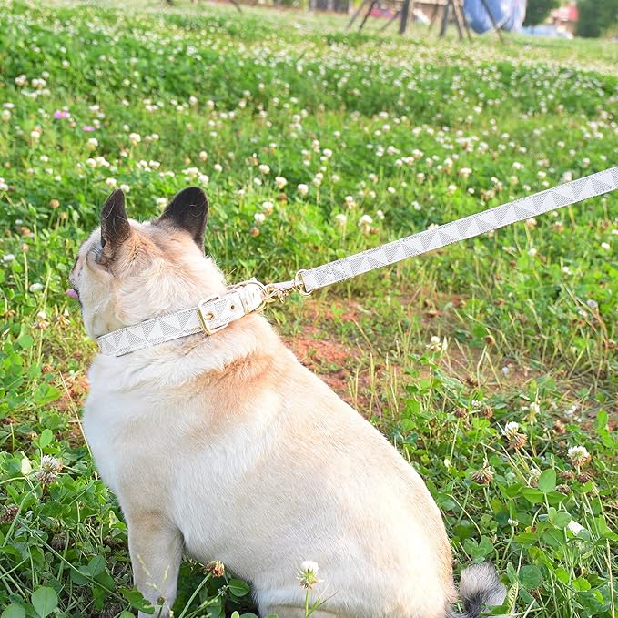 Leather Dog Collar and Leash Set, Check Pattern Dog Collar Leashes Metal Buckle Adjustable Durable for Small Medium Large Dogs (White, S(11.4-13.4IN))