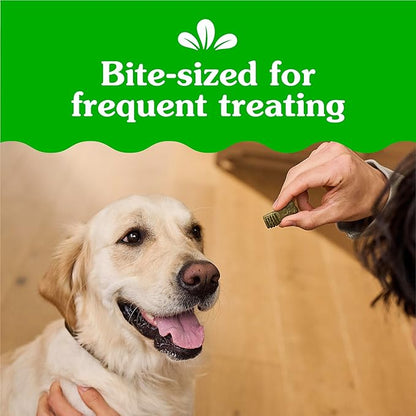 Greenies Anytime Bites Dog Treats, Mint Flavor, Dog Training Treats, 24 oz. Bag