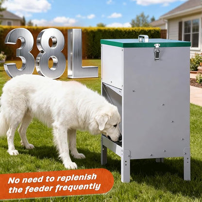 38L Automatic Dog Feeder and 6L Water Bowl Dispenser,Auto Dog Waterer Large Capacity Metal Gravity Dry Food Feeder with 3.94" Stand Outdoor Station for Large Breed Big Dogs Cat Pet